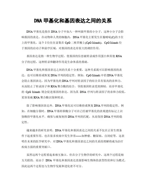 DNA甲基化和基因表达之间的关系