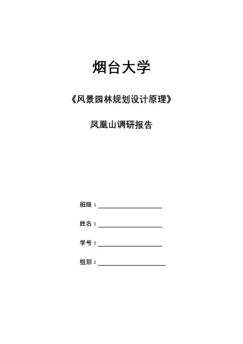 凤凰山调研报告