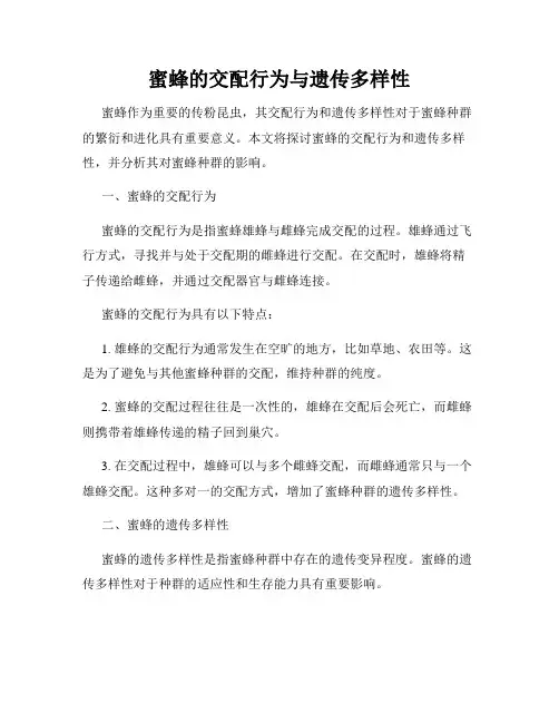 蜜蜂的交配行为与遗传多样性