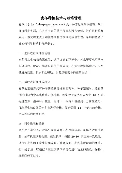 麦冬种植技术与栽培管理