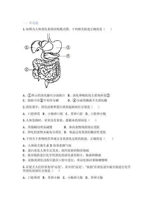 苏科版生物 七年级上册 第6章 生物之间的食物关系 课后练习题