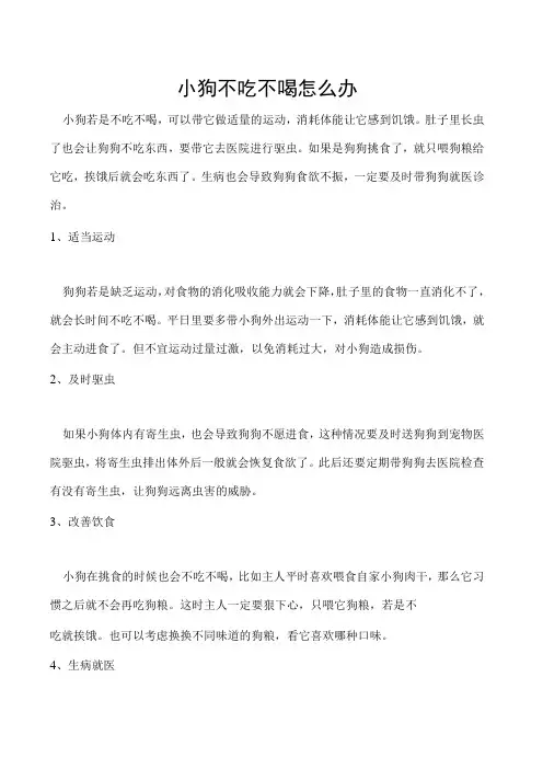 小狗不吃不喝怎么办