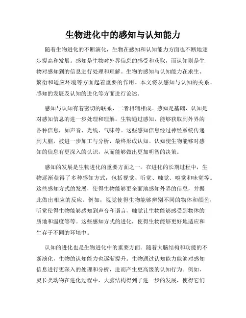 生物进化中的感知与认知能力