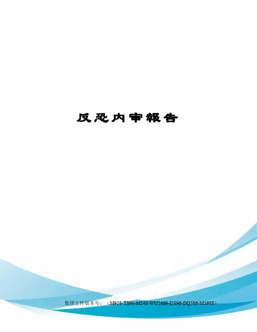 反恐内审报告优选稿
