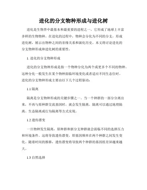 进化的分支物种形成与进化树