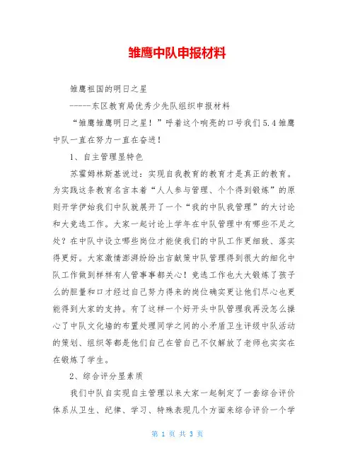 雏鹰中队申报材料