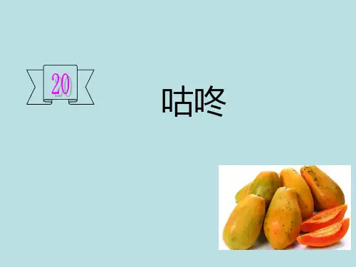 (部编版)咕咚ppt课件1