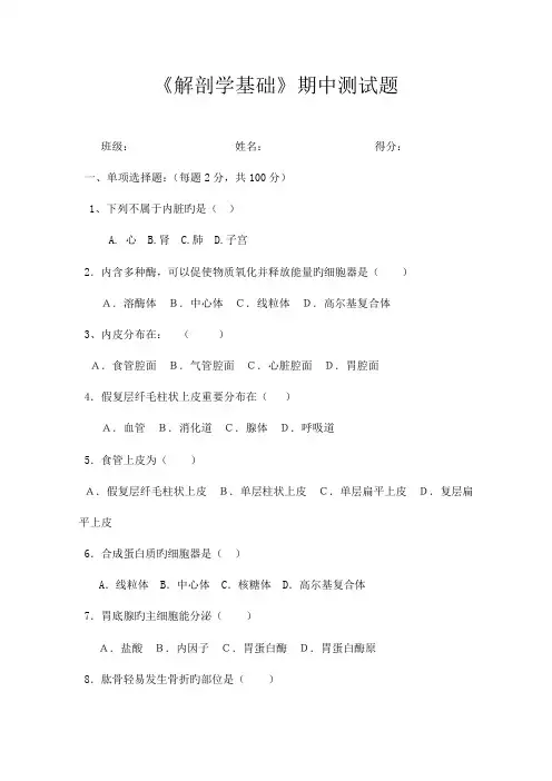 2023年解剖学基础期中测试题及答案