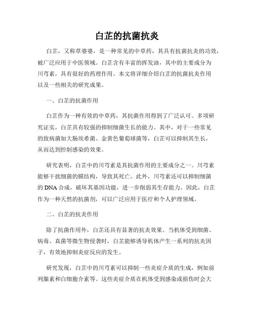 白芷的抗菌抗炎