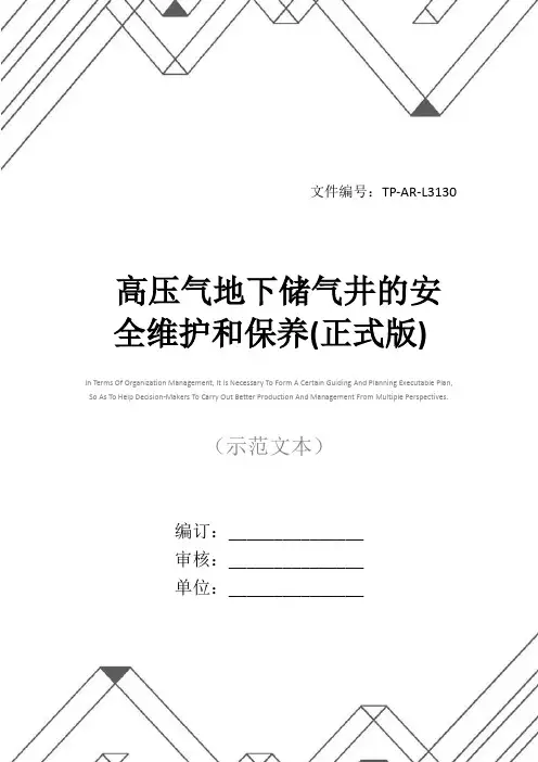 高压气地下储气井的安全维护和保养(正式版)
