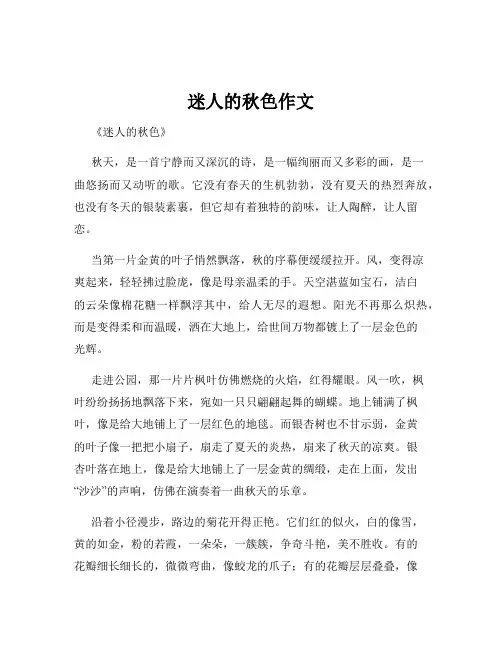 迷人的秋色作文