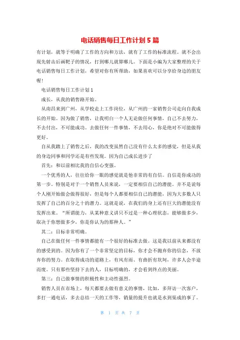 电话销售每日工作计划5篇