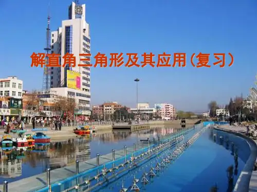 解直角三角形及其应用复习课