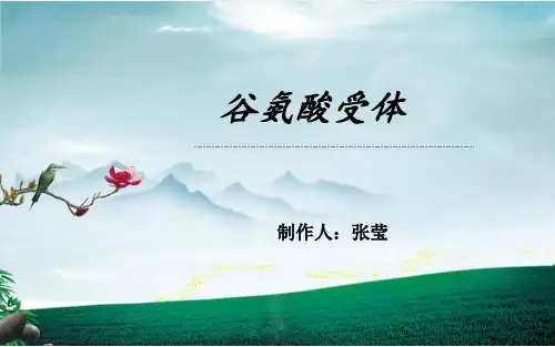 谷氨酸受体