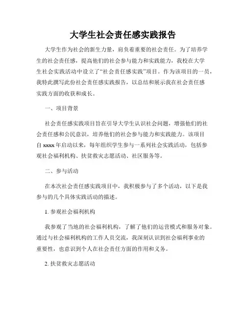 大学生社会责任感实践报告
