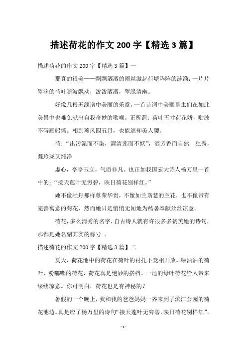 描述荷花的作文200字【3篇】