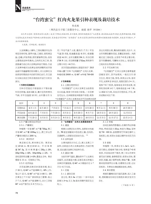 “台湾蜜宝”红肉火龙果引种表现及栽培技术