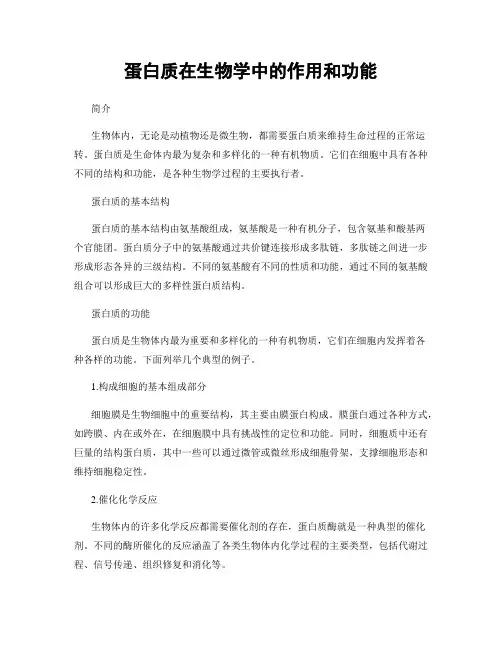 蛋白质在生物学中的作用和功能