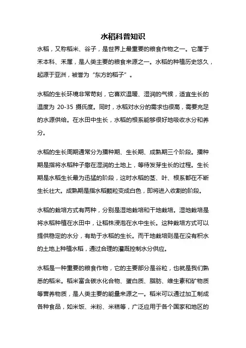 水稻科普知识