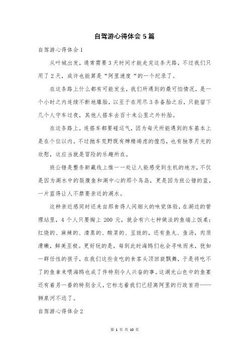 自驾游心得体会5篇