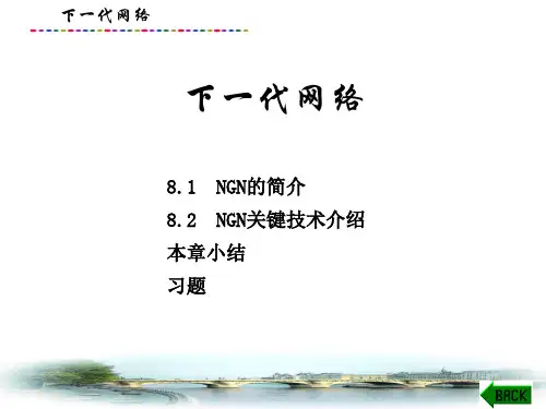 现代通信网络技术课件：下一代网络