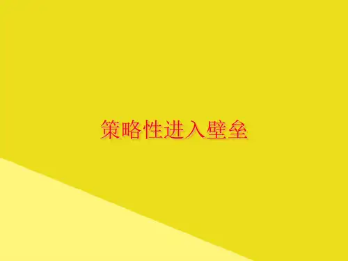 策略性进入壁垒PPT资料(正式版)