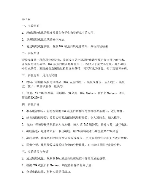 凝胶成像的实验报告(3篇)
