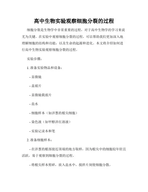 高中生物实验观察细胞分裂的过程