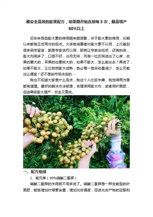最安全高效的膨果配方，幼果期开始连续喷3次，最高增产60%以上
