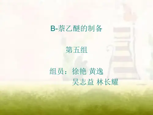 第五组-β-奈乙醚的生产1