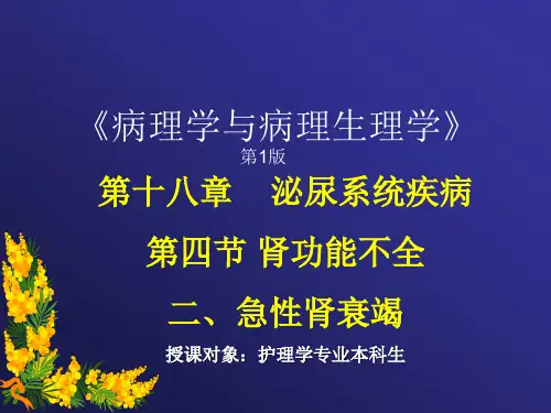病理生理学课件-急性肾功能不全
