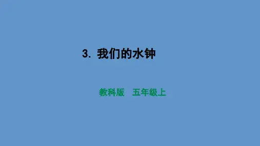 教科版五年级科学上册-我们的水钟-ppt课件
