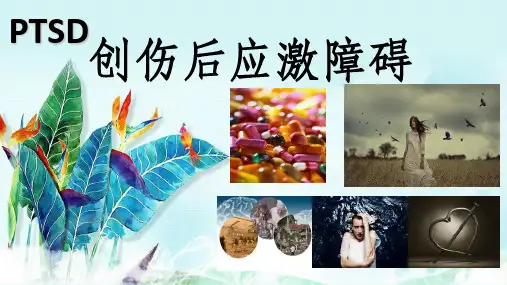创伤后应激障碍ppt课件