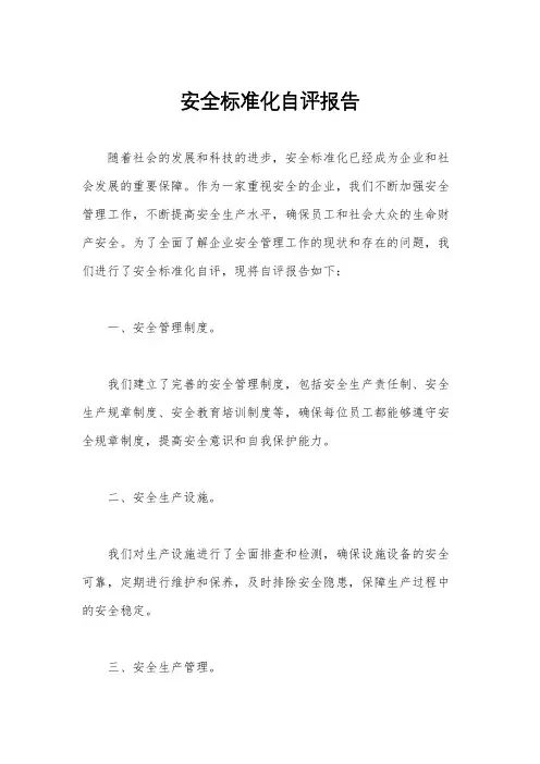安全标准化自评报告