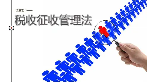 项目十  任务四税收法律责任