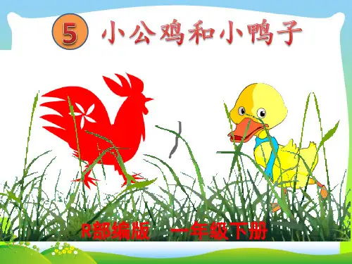 人教部编版一年级下册语文课件-第5课《小公鸡和小鸭子》(共16张PPT)