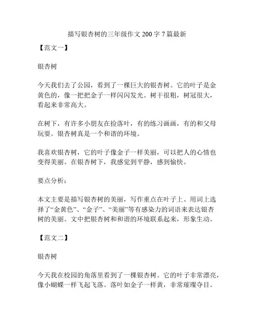 描写银杏树的三年级作文200字7篇最新