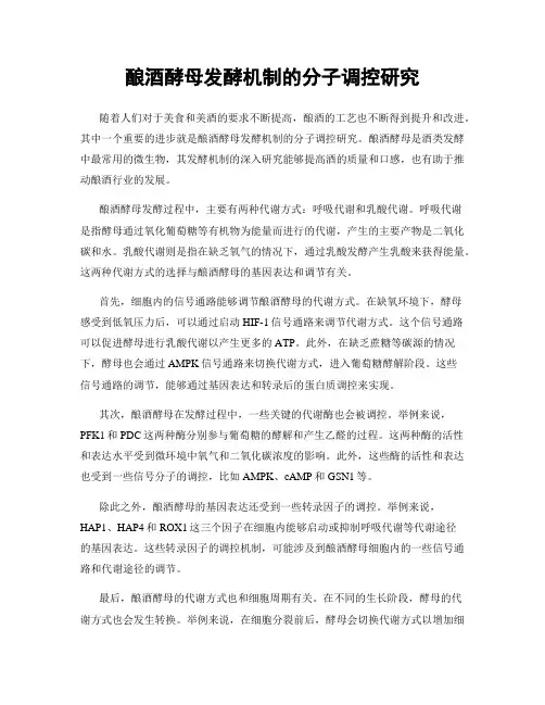 酿酒酵母发酵机制的分子调控研究