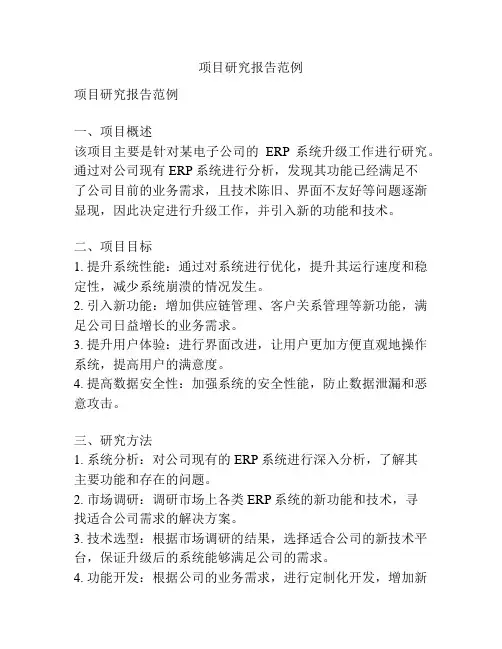 项目研究报告范例