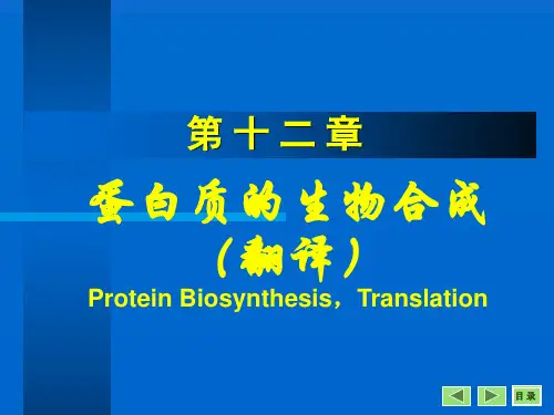 第12章 翻译
