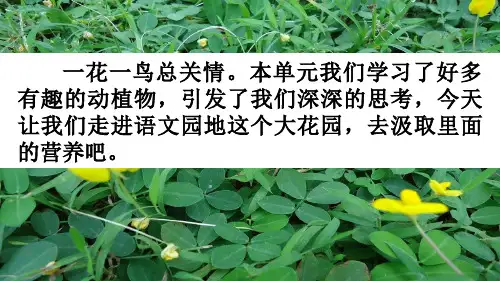 人教部编版五年级语文上册第一单元《语文园地一》教学课件