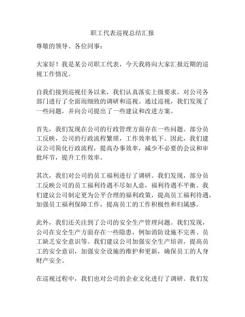 职工代表巡视总结汇报