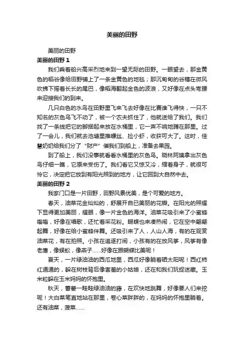 美丽的田野