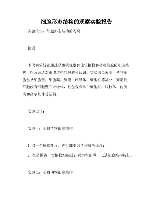 细胞形态结构的观察实验报告