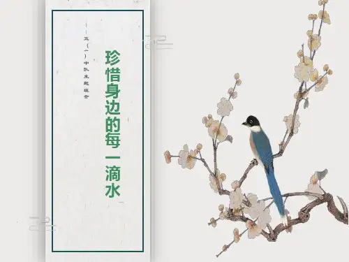 珍惜身边的每一滴水PPT