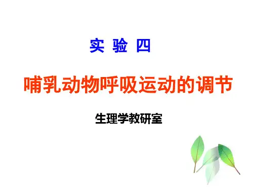 实验四 膈肌放电