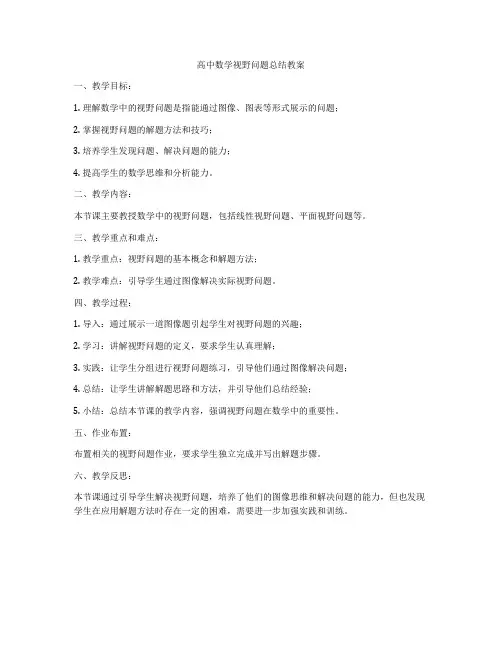 高中数学视野问题总结教案