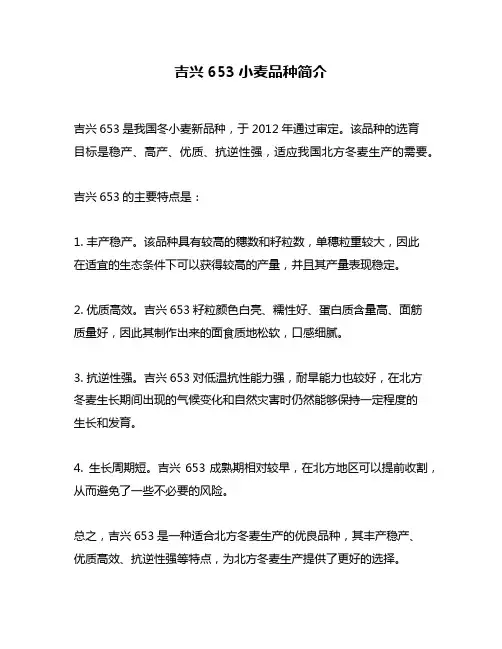 吉兴653小麦品种简介
