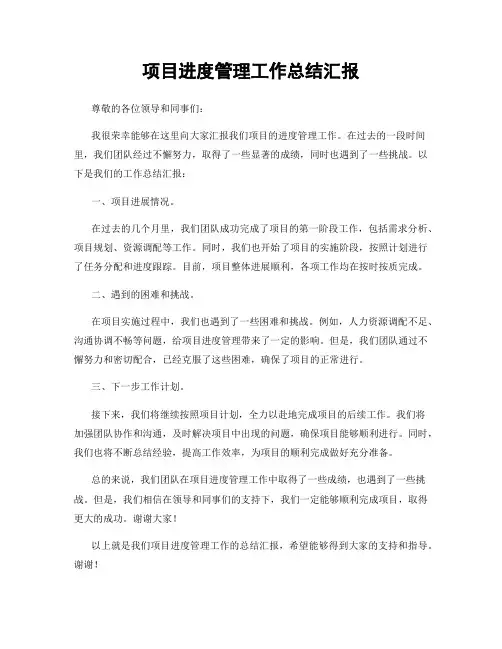 项目进度管理工作总结汇报