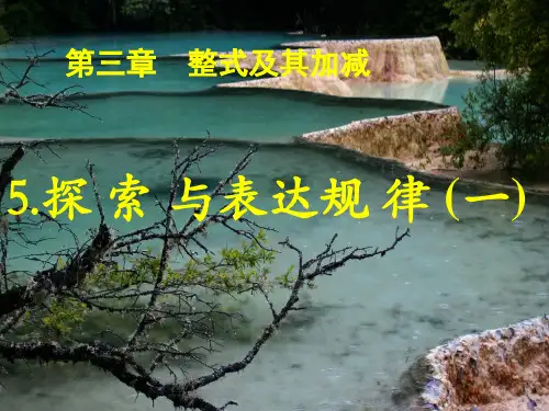 北师大版数学七年级上册《探索与表达规律》优课件